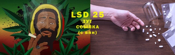 гашик Нефтекумск