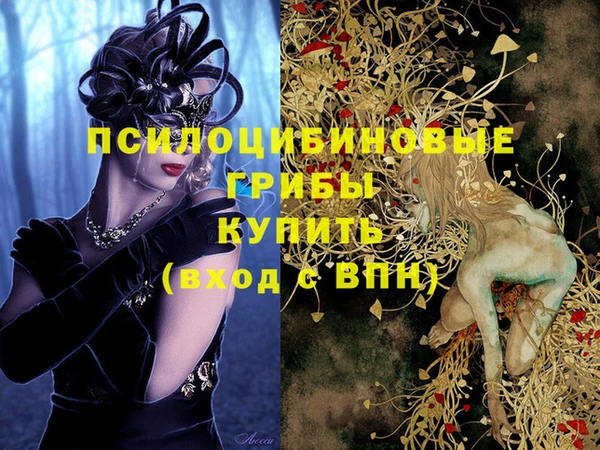 гашик Нефтекумск