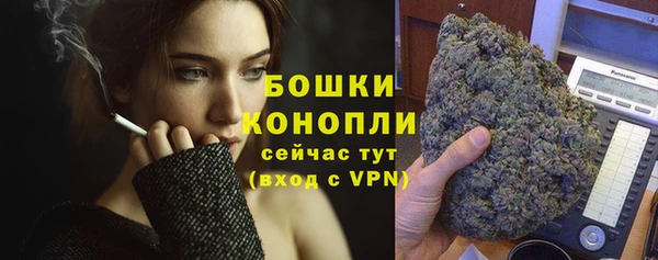гашик Нефтекумск
