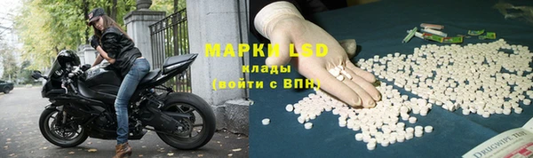 стафф Нефтегорск