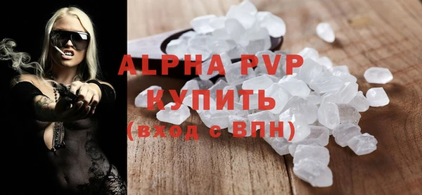 гашик Нефтекумск