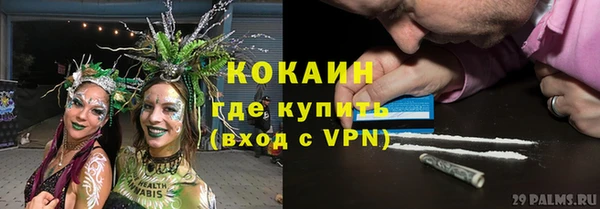 гашик Нефтекумск