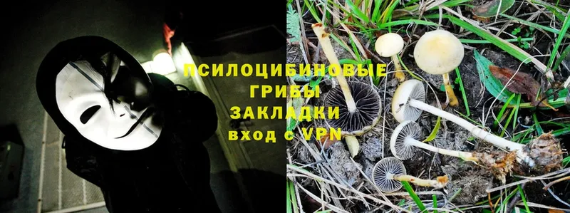 Псилоцибиновые грибы Magic Shrooms  МЕГА   Ликино-Дулёво 